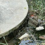 Pattaya investigates oil pollution in local water source | Thaiger