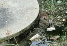 Pattaya investigates oil pollution in local water source