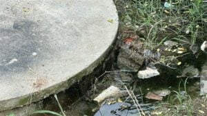 Pattaya investigates oil pollution in local water source