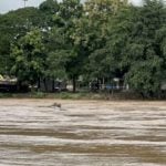 Chiang Rai residents brace for floods as Kok River rises | Thaiger