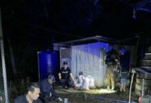 Chiang Mai tragedy: man kills wife, then himself in dispute