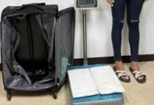 Brazilian duo caught with 6.63kg cocaine at Koh Samui airport