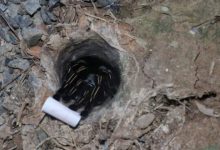 Lottery enthusiasts brave rain for lucky numbers in Ang Thong | Thaiger