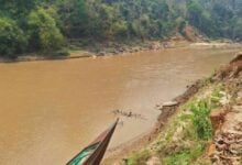 Arsenic contamination in Chiang Mai children linked to river fish