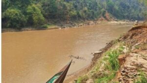 Arsenic contamination in Chiang Mai children linked to river fish
