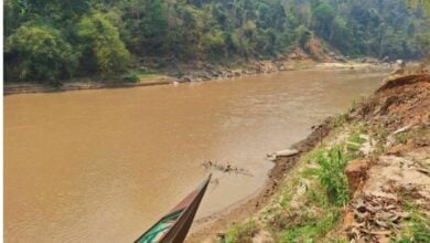 Arsenic contamination in Chiang Mai children linked to river fish