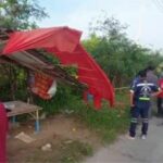 Truck crash in Lop Buri kills woman at fruit stall | Thaiger