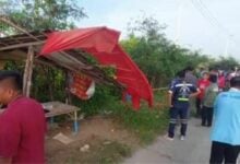 Truck crash in Lop Buri kills woman at fruit stall