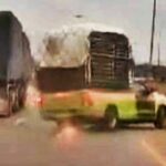 That&#8217;s bananas! Pickup splits in two after 4-tonne durian blowout | Thaiger
