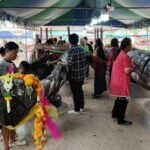 Locals seek lottery luck from ancient tree in Uthai Thani | Thaiger