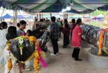 Locals seek lottery luck from ancient tree in Uthai Thani