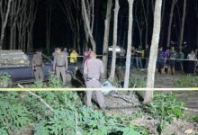 Inheritance dispute leads to fatal shooting in Surat Thani plantation | Thaiger