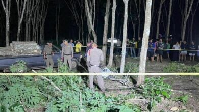 Inheritance dispute leads to fatal shooting in Surat Thani plantation | Thaiger