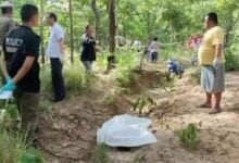 Missing man’s body found in forest after week-long search