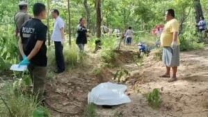Missing man’s body found in forest after week-long search