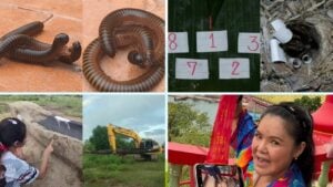 Thai lottery predictions stir excitement with unique sources