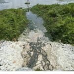 Something smells fishy: Locals kick up stink over reservoir pollution fears | Thaiger