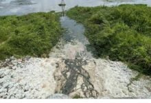 Something smells fishy: Locals kick up stink over reservoir pollution fears
