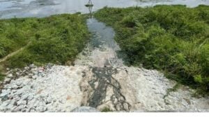 Something smells fishy: Locals kick up stink over reservoir pollution fears