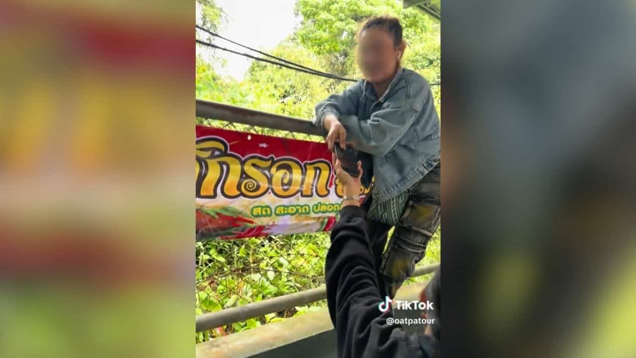 TikToker shares bear encounter at Khao Yai restaurant 