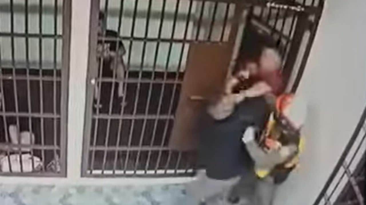 Drunk driver refuses to enter detention room and punches police