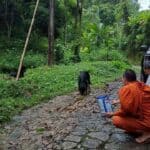 4 Rottweilers rescued after being left to die in Chiang Mai forest | Thaiger