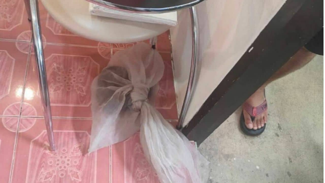 Thai man killed by cobra after creating video content with the snake