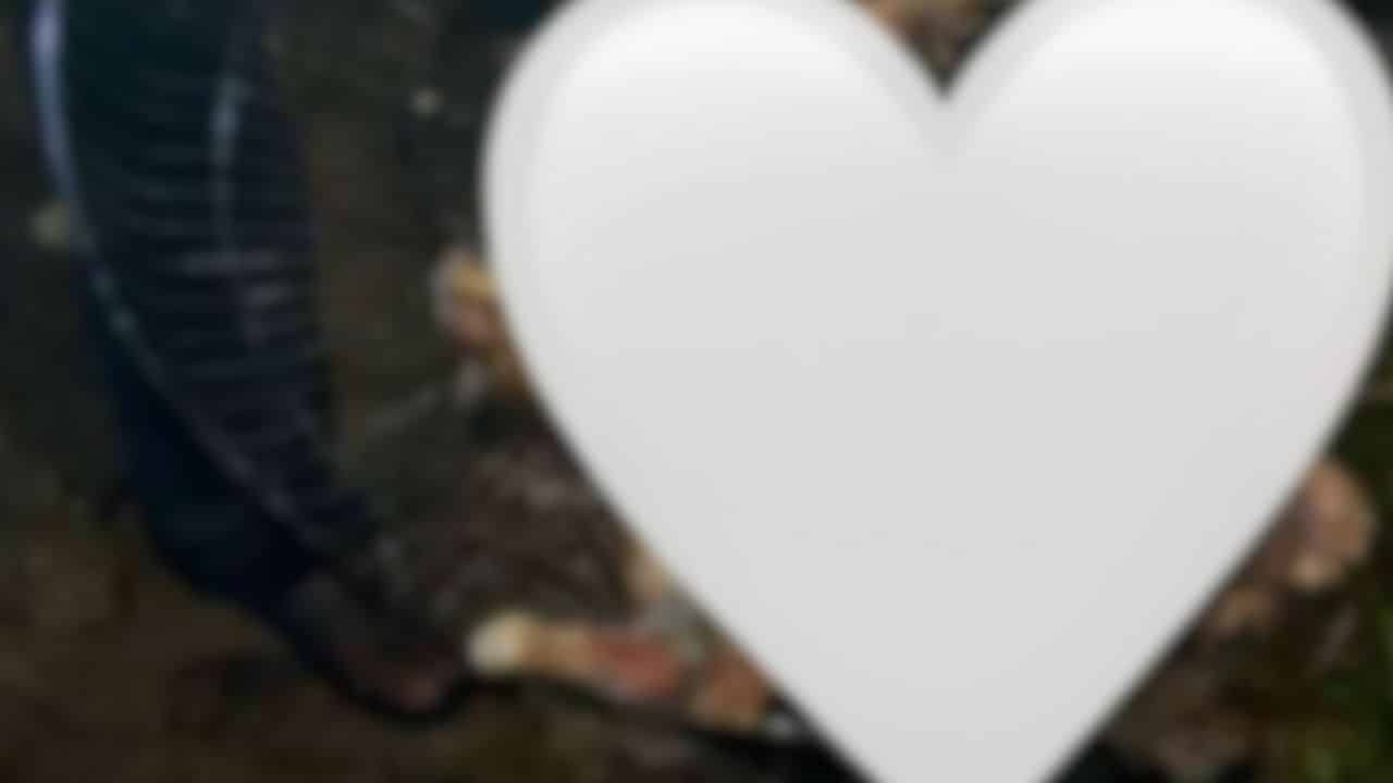 Thai man caught grilling dead cat 