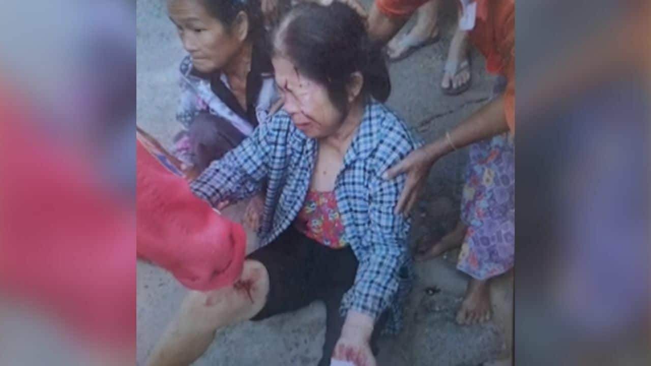 Thai woman injured after turning on radion found in rice field