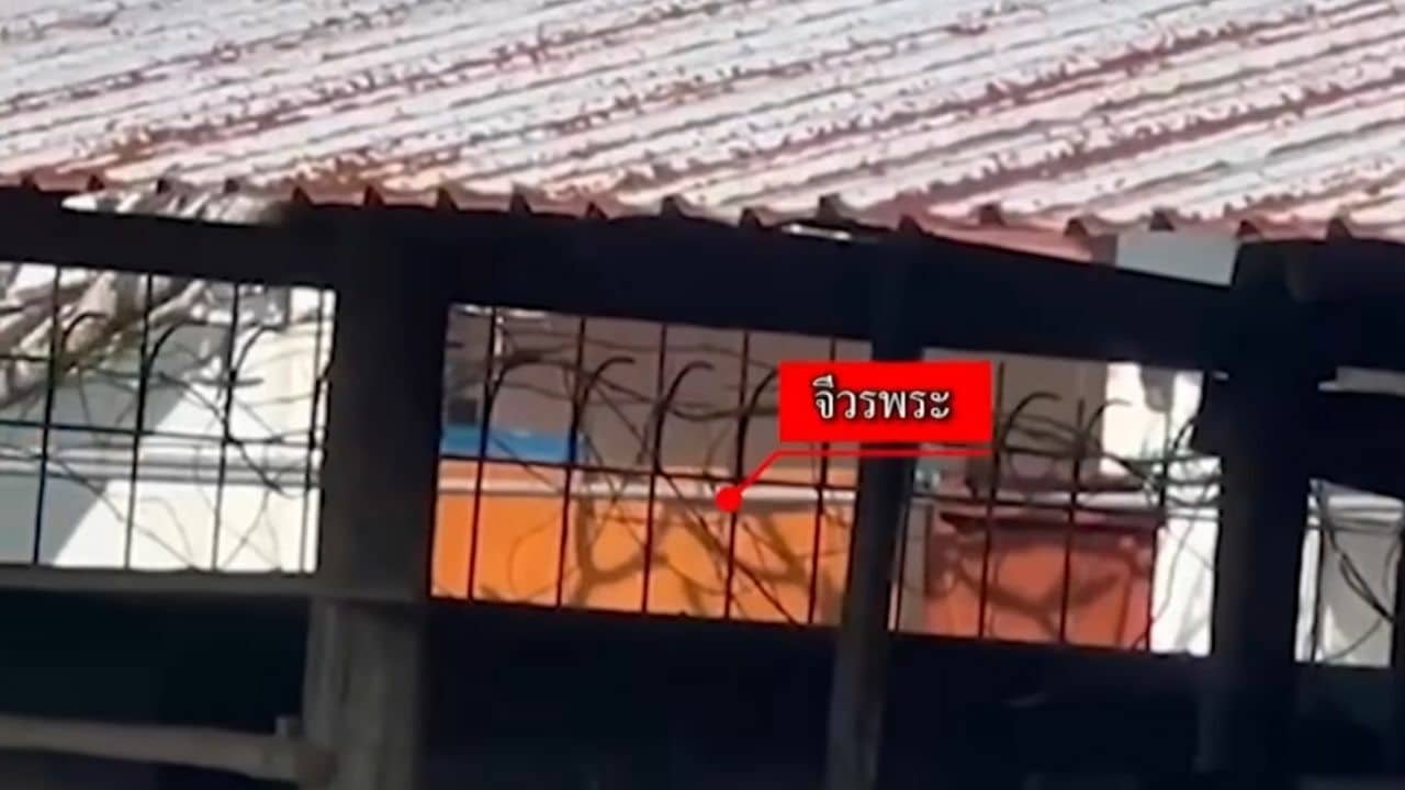 Thai monk denies romantic relationship with woman in Phuket