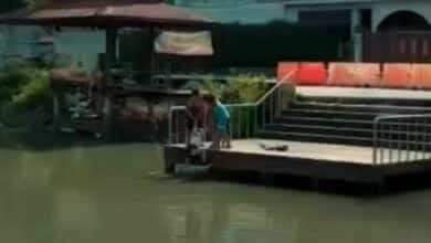 3 Thai boys hailed heroes for rescuing woman from drowning