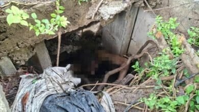 Naked American man in Bangkok sewer refuses help and bites rescuers