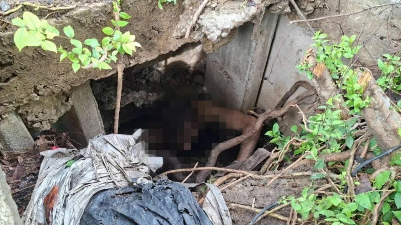 Naked American man in Bangkok sewer refuses help and bites rescuers