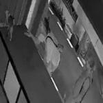 CCTV captures foreign men taking Thai man’s cat in Phuket | Thaiger