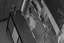 CCTV captures foreign men taking Thai man’s cat in Phuket