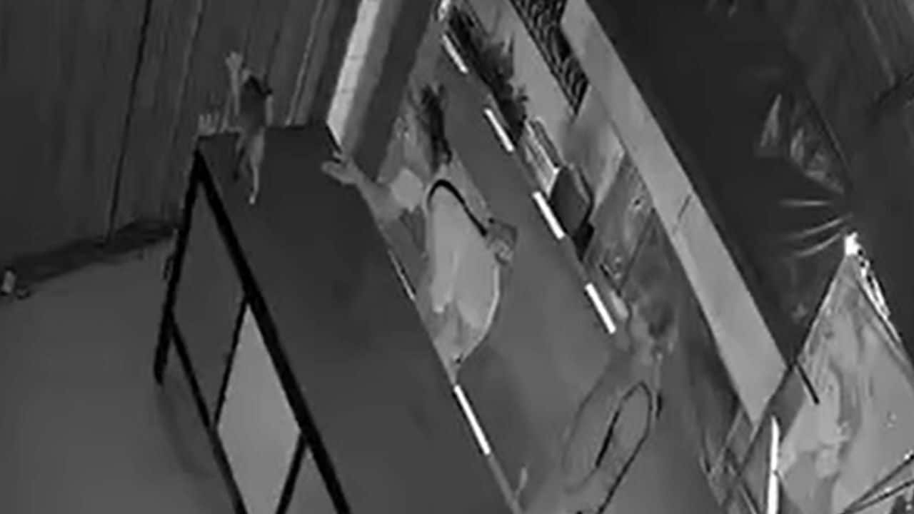 CCTV captures foreign men taking Thai man’s cat in Phuket