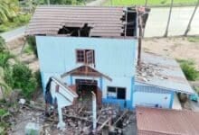 Tweetment needed: Woman hurt as birds smash window, roof caves in
