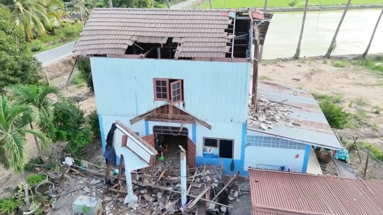 Tweetment needed: Woman hurt as birds smash window, roof caves in