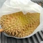 Thai man&#8217;s face impaled by durian in pickup crash in Buriram | Thaiger