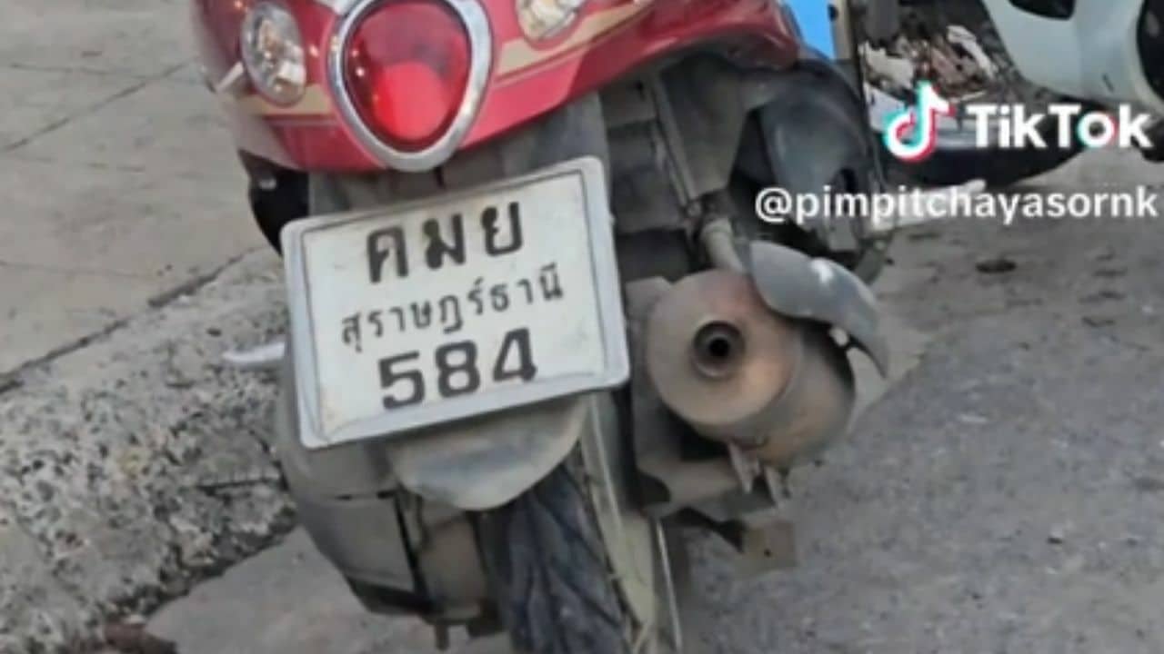 Video of bees on side car motorcycle mirror draws attentions from lottery lovers