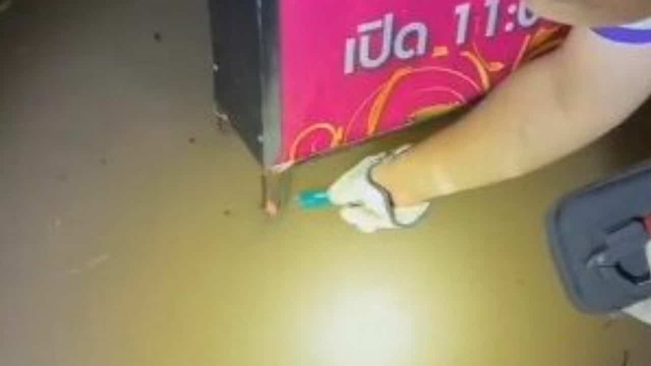 Electrocution leads to 2 deaths in Udon Thani