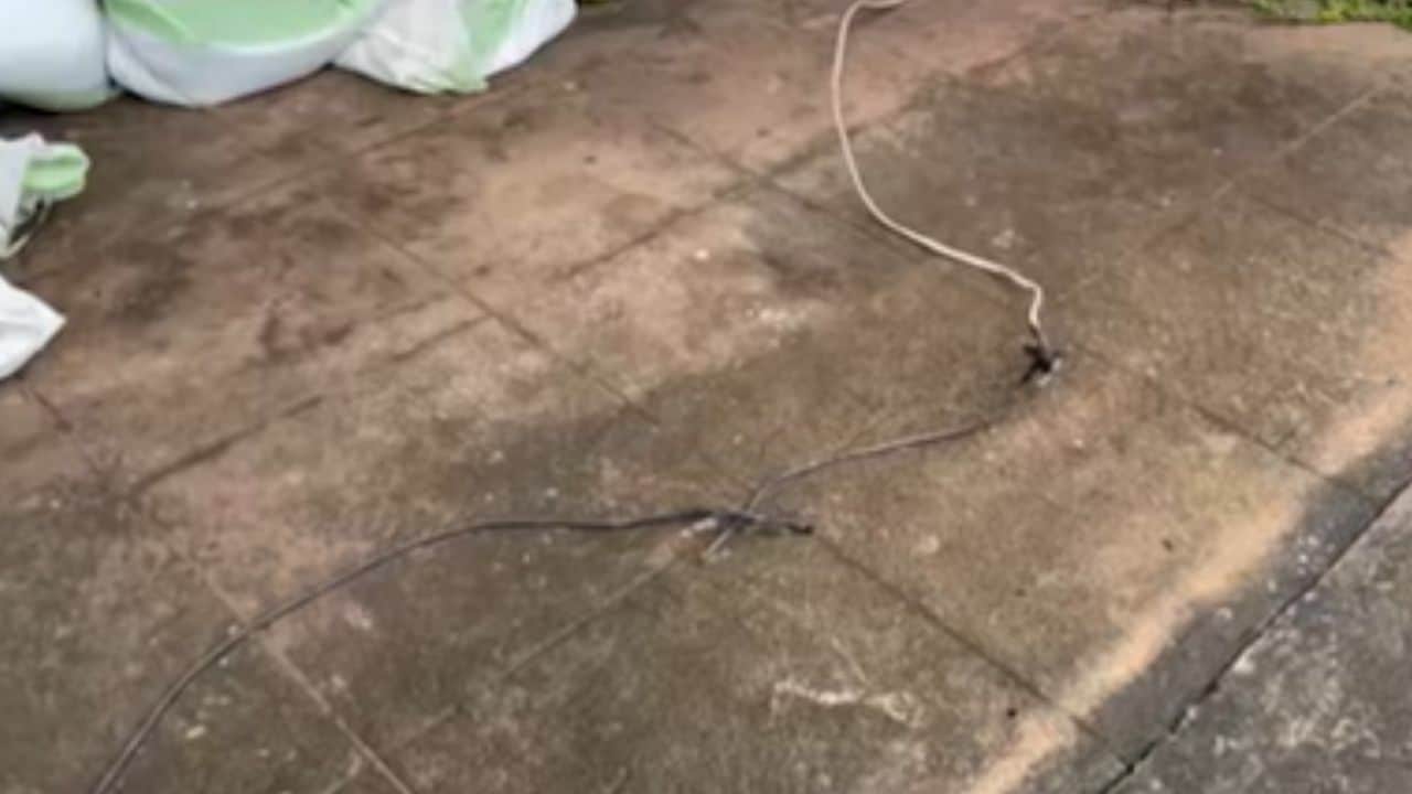 Thai woman and Vietnamese man killed in electrocution