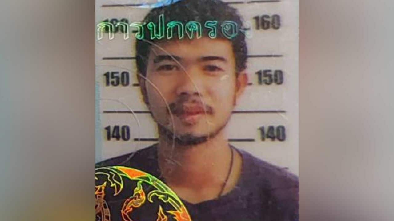 Thai man missing after bamboo hunt in Khon Kaen forest