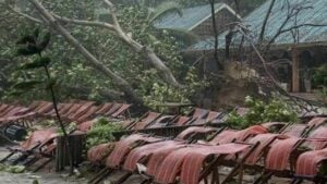 Chinese woman killed by falling tree on Phuket beach (video)