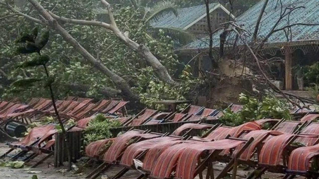 Chinese woman killed by falling tree on Phuket beach (video)