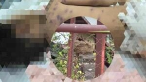 2 year old Thai boy loses life in wasp attack, child’s father seriously injured