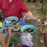 Paws and pay: Pooch turns cashier in Ang Thong diner (video) | Thaiger