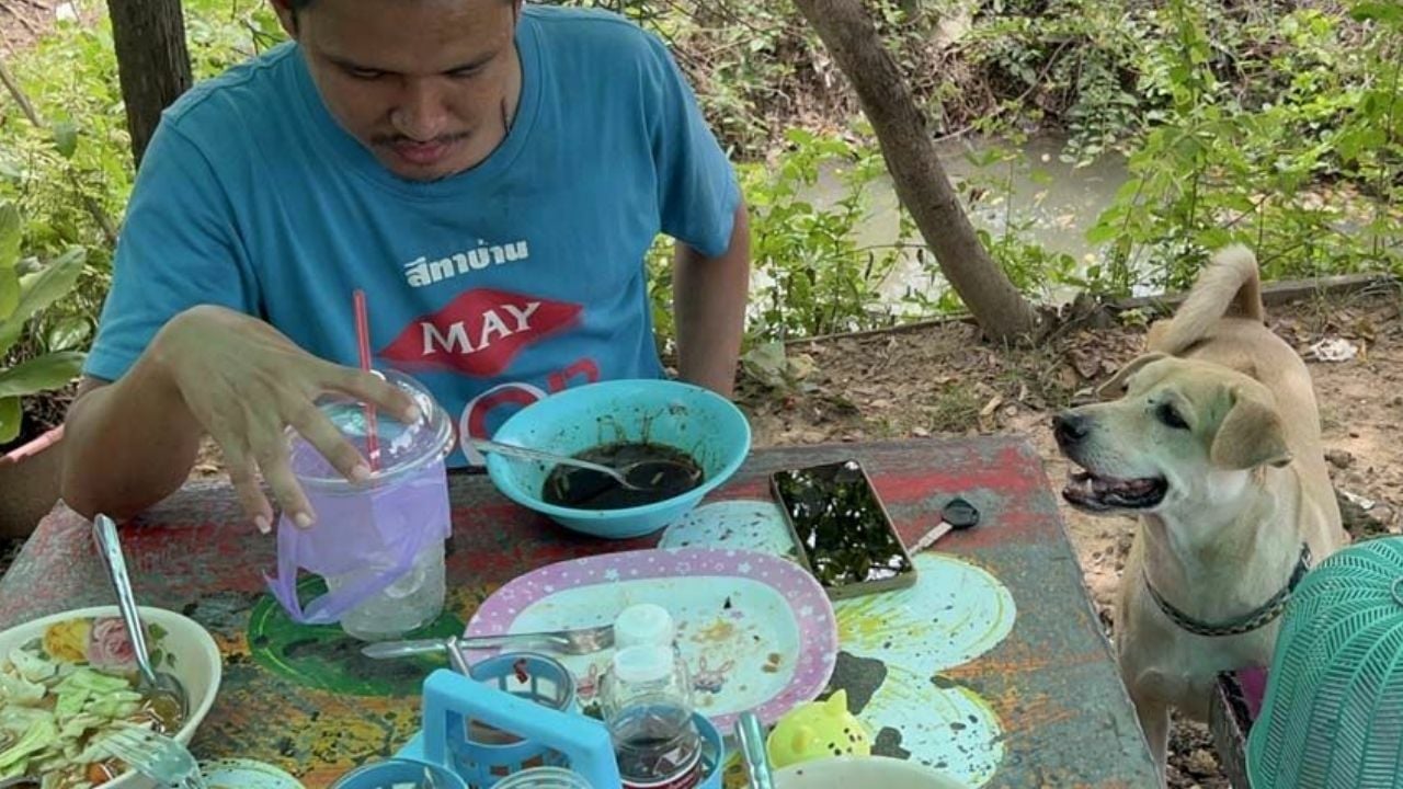 Thai dog loved by locals for its cashier skills