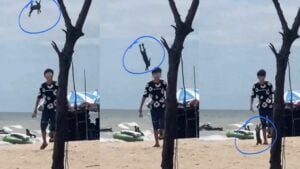 Hare-rest him! Bang Saen Beach yob slammed for sick rabbit abuse | Thaiger