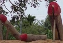 Buriram residents use penis amulets to fend off alleged black magic from Cambodia | Thaiger